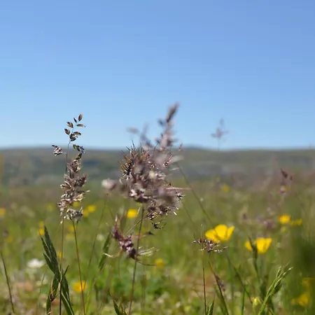 Almanzor * Hoyos del Espino