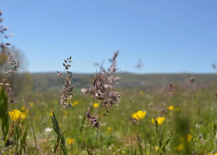Almanzor * Hoyos del Espino
